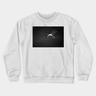 Gull Crewneck Sweatshirt